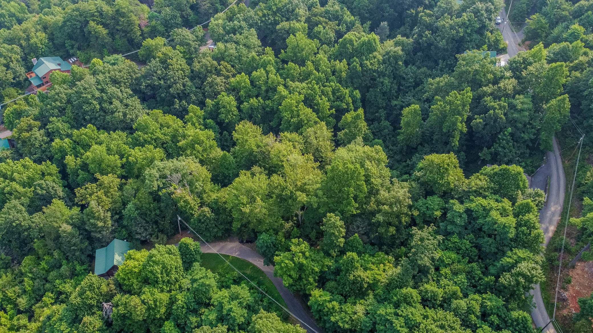 Lot 0662 Battle Top Road Sevierville, TN 37876 - Photo 5 of 13 DJI_0003
