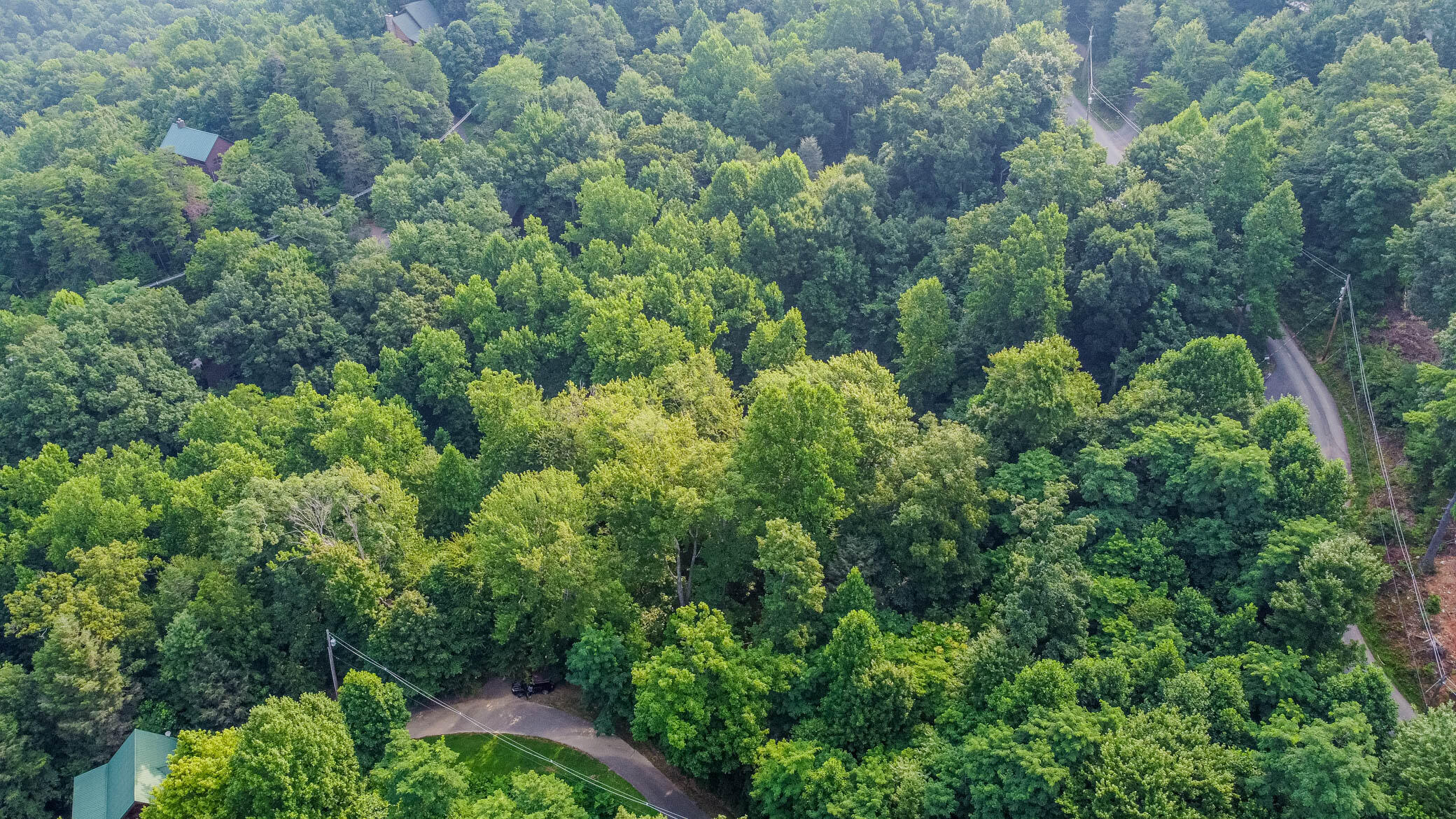 Lot 0662 Battle Top Road Sevierville, TN 37876 - Photo 10 of 13 DJI_0011