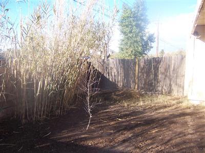 3341 South Mission Road Tucson, AZ 85713 - Photo 6 of 6