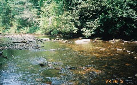 1 Fires Creek Road Hayesville, NC 28904 - Photo 1 of 1 a view of a yard with a tree