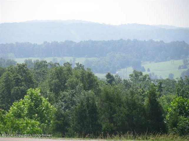 697 Liberty Road Battletown, KY 40104 - Photo 41 of 55 Liberty View