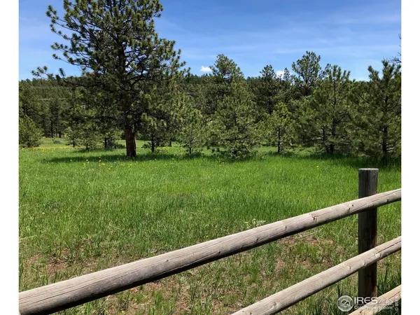 a view of green field with trees in the background