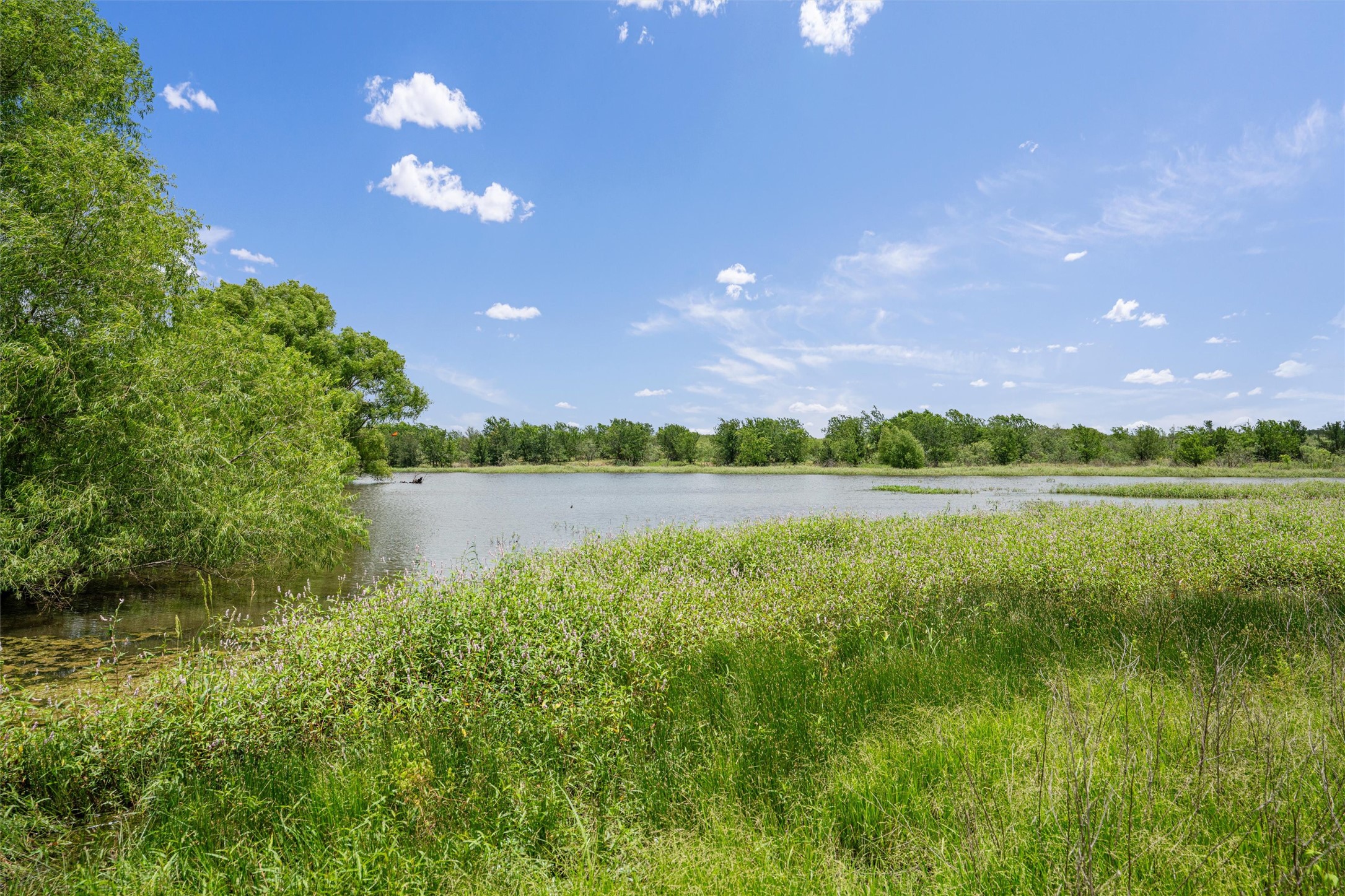 3315 County Road 463 Elgin, TX 78621 - Photo 3 of 32 A tranquil water view framed by verdant trees, offering a serene natural escape.