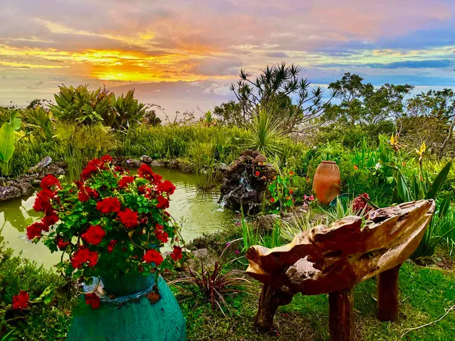 a view of a garden with sitting area