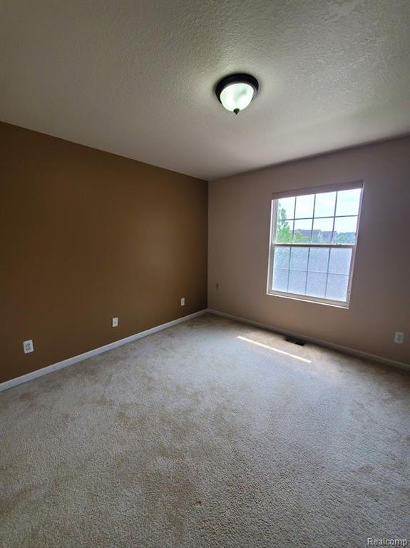 23448 Ridgeview Street Taylor, MI 48180 - Photo 39 of 53