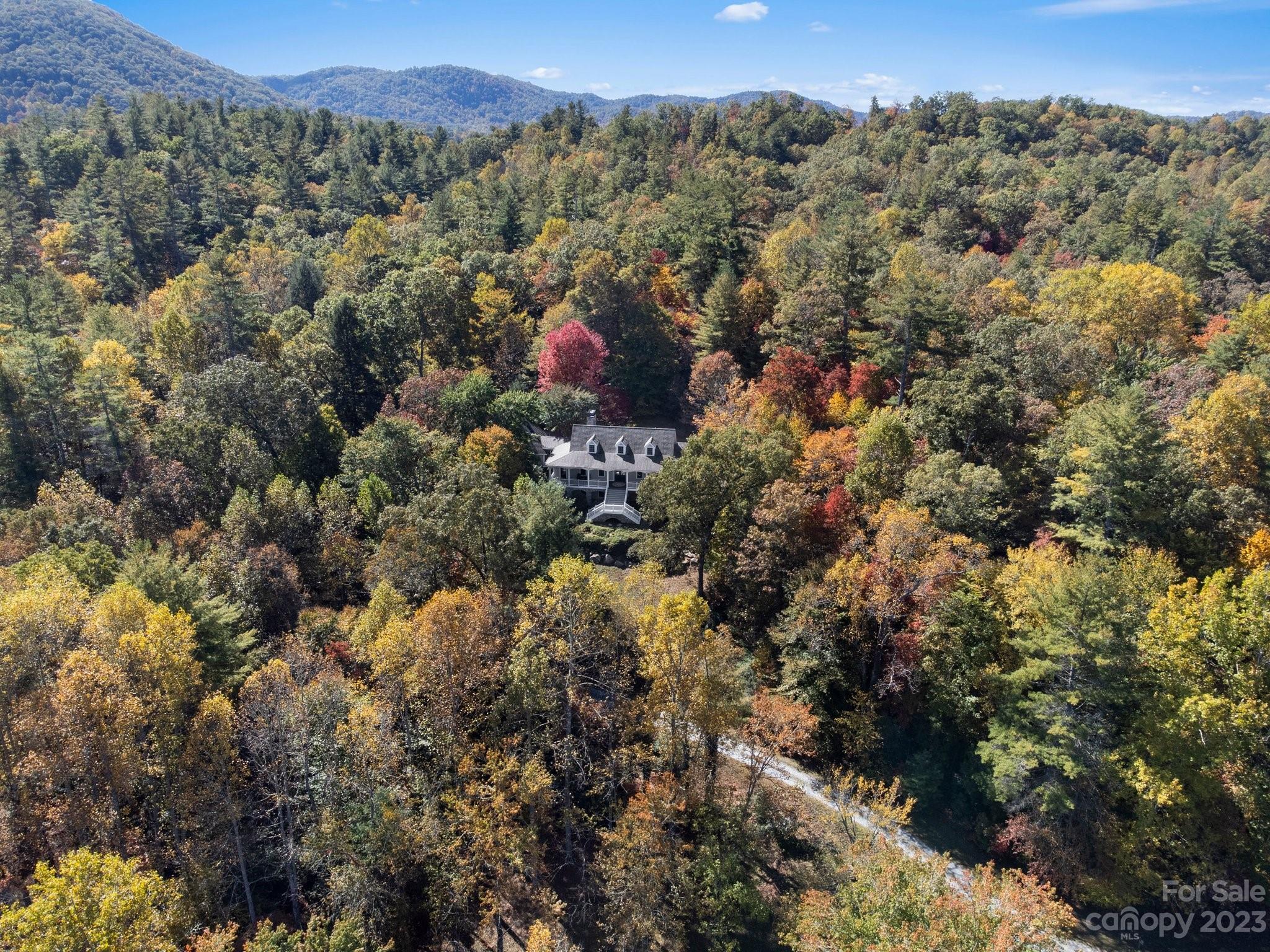 850 Barclay Road Brevard, NC 28712 - Photo 4 of 48 Gallery Image 4