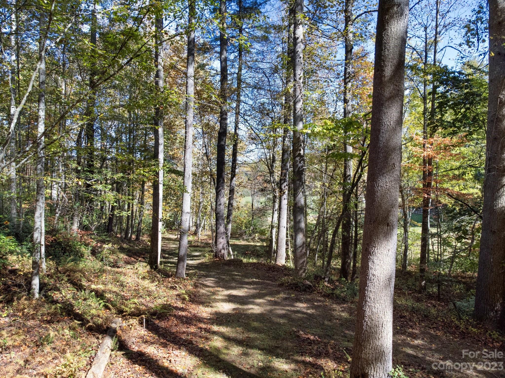 850 Barclay Road Brevard, NC 28712 - Photo 46 of 48 Gallery Image 46