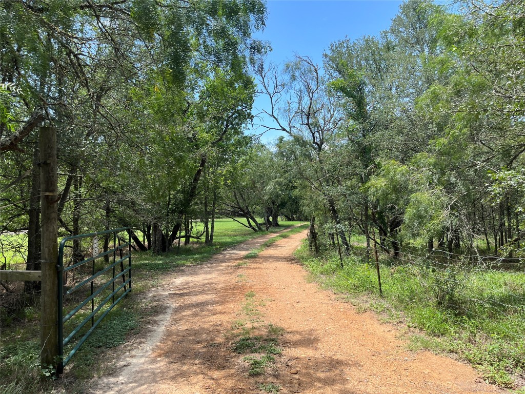 354 Lower Red Rock Road Bastrop, TX 78602 - Photo 1 of 1 Gallery Image 1