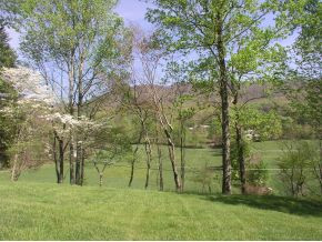 945 Blue Springs Road, Unit 1 Elizabethton, TN 37643 - Photo 3 of 9 Photo 3