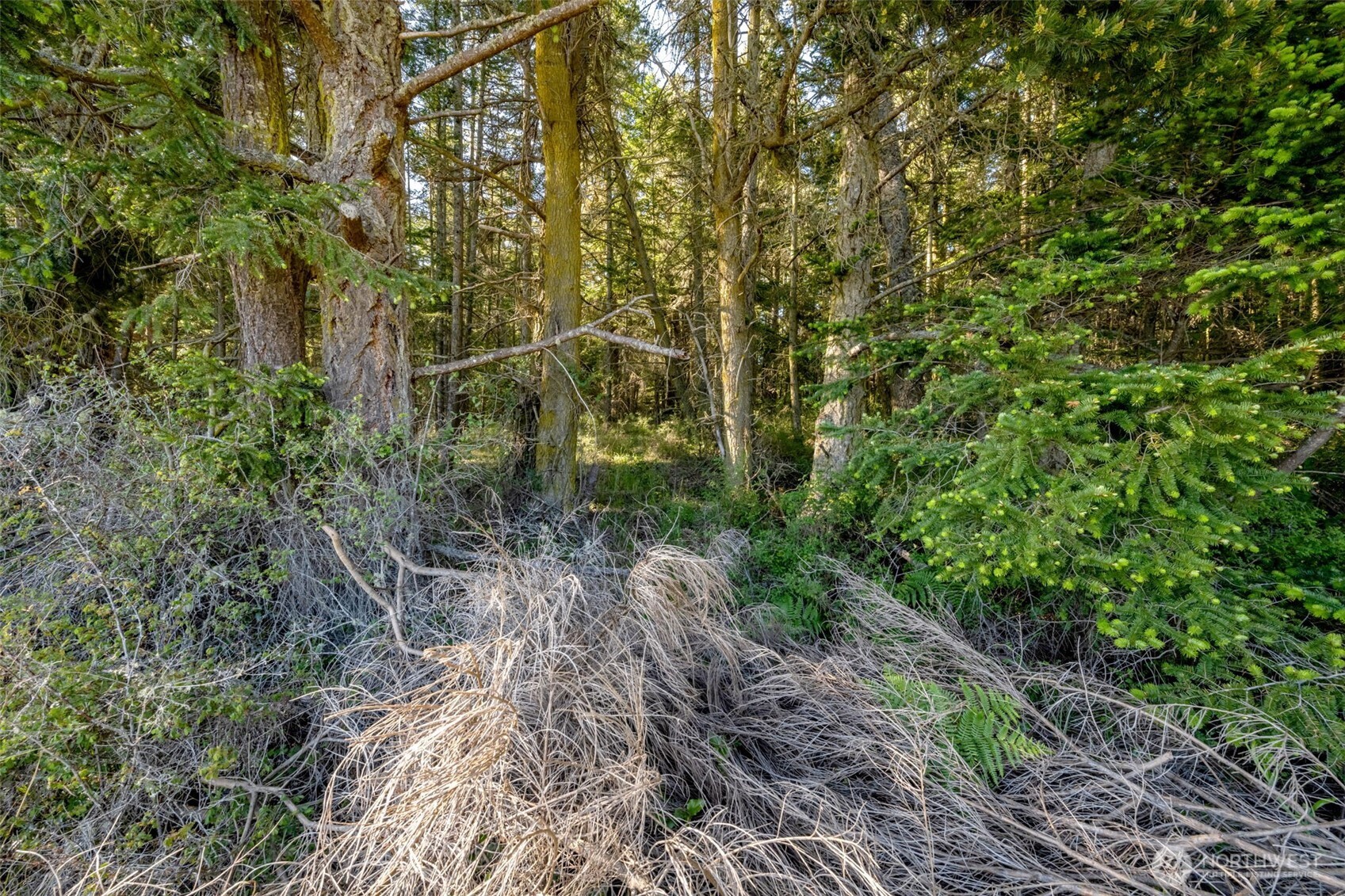 0 Channel Road Lopez Island, WA 98261 - Photo 14 of 20