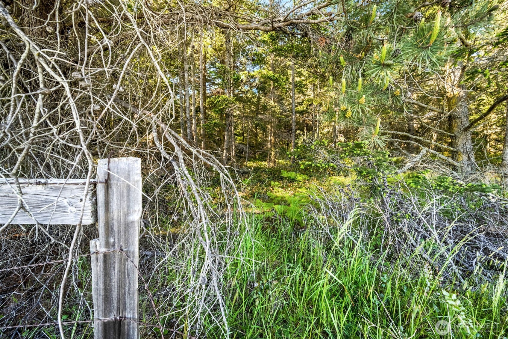 0 Channel Road Lopez Island, WA 98261 - Photo 15 of 20