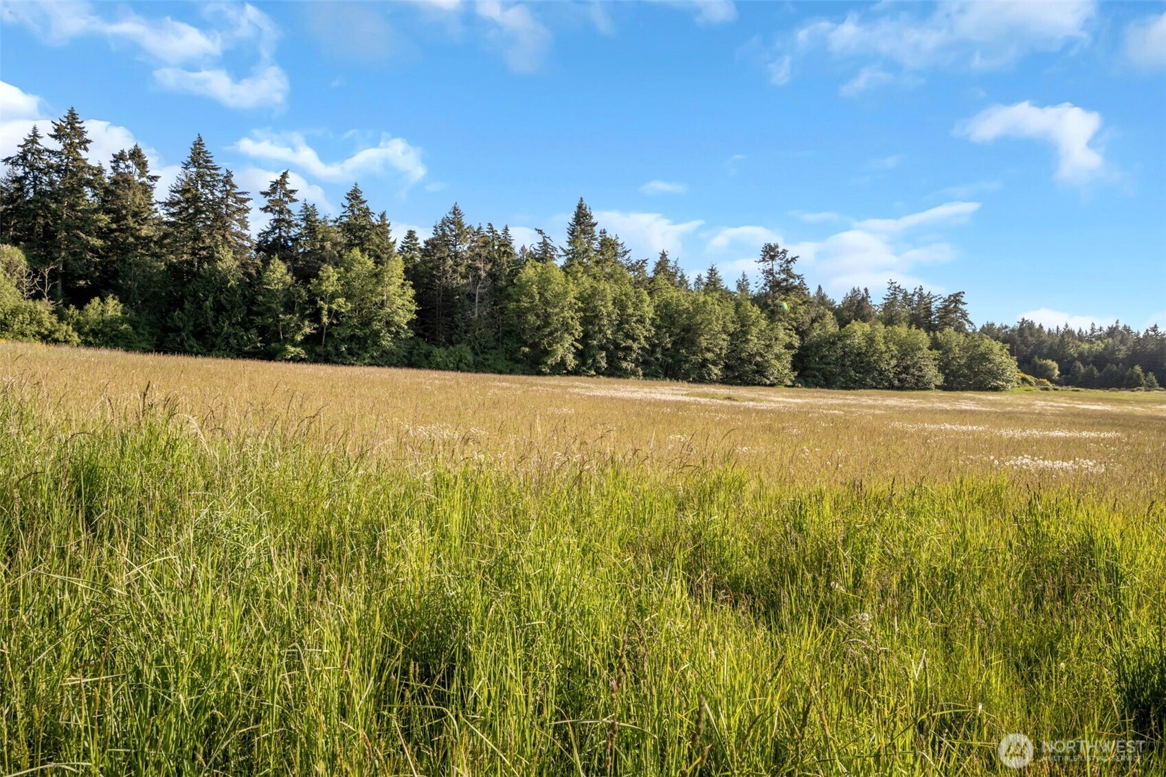 0 Channel Road Lopez Island, WA 98261 - Photo 18 of 20