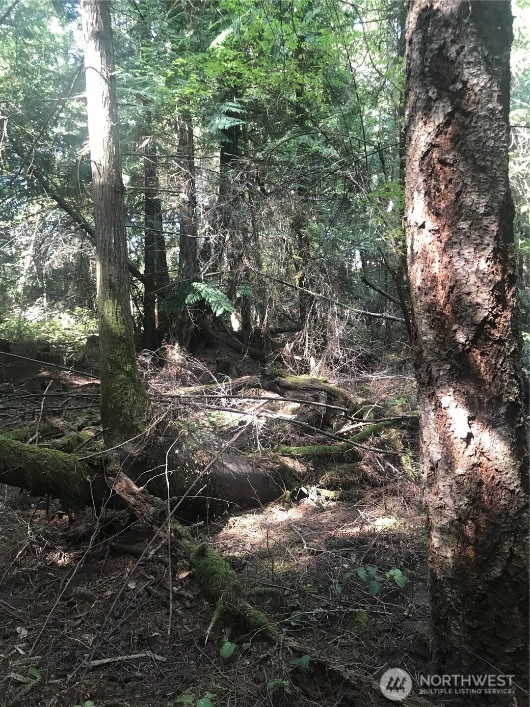 0 Channel Road Lopez Island, WA 98261 - Photo 2 of 20