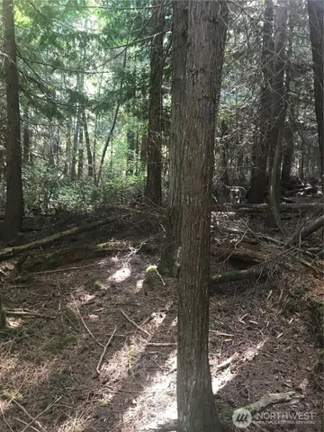 $1,199,000 | 0 Channel Road, Lopez Island, WA 98261