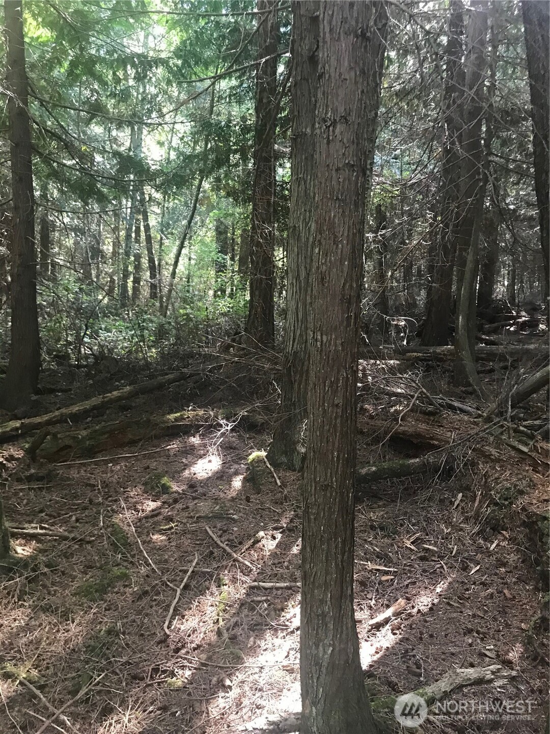 0 Channel Road Lopez Island, WA 98261 - Photo 3 of 20