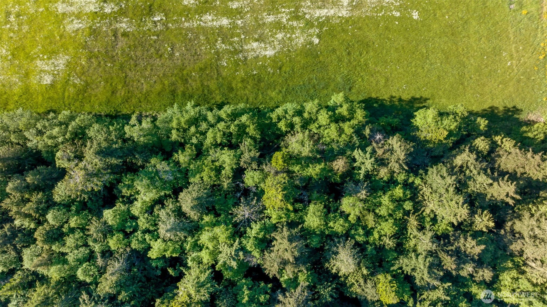 0 Channel Road Lopez Island, WA 98261 - Photo 5 of 20