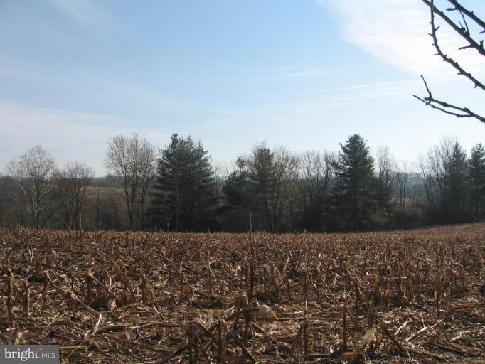6578 Roy Shafer Road Middletown, MD 21769 - Photo 2 of 11 Mountain View 1