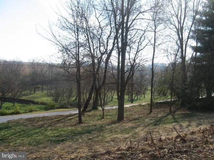 6578 Roy Shafer Road Middletown, MD 21769 - Photo 7 of 11 Street View