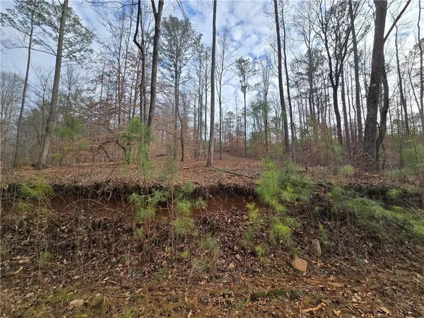 $1,362,400 | 0 Tippens Road, Canton, GA 30114