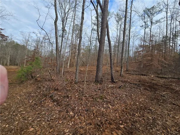 $1,362,400 | 0 Tippens Road, Canton, GA 30114