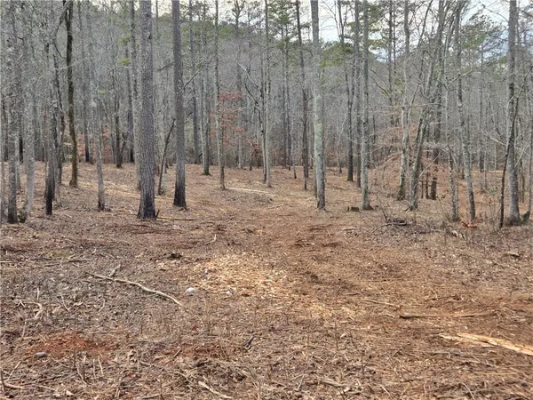 $1,362,400 | 0 Tippens Road, Canton, GA 30114