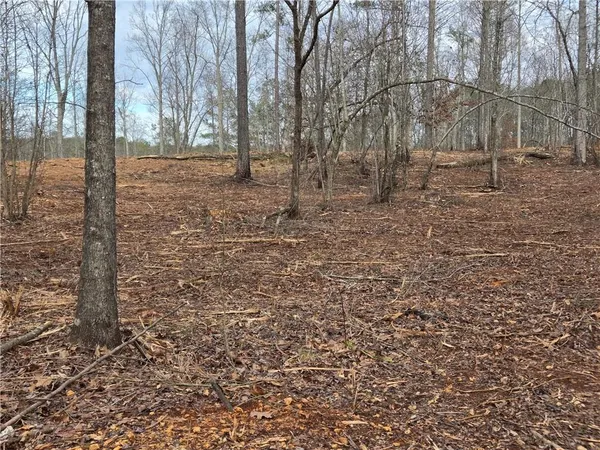 $1,362,400 | 0 Tippens Road, Canton, GA 30114