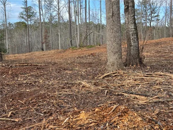 $1,362,400 | 0 Tippens Road, Canton, GA 30114