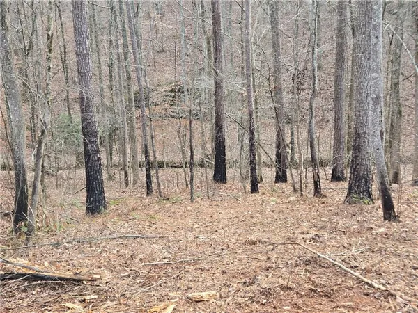 $1,362,400 | 0 Tippens Road, Canton, GA 30114