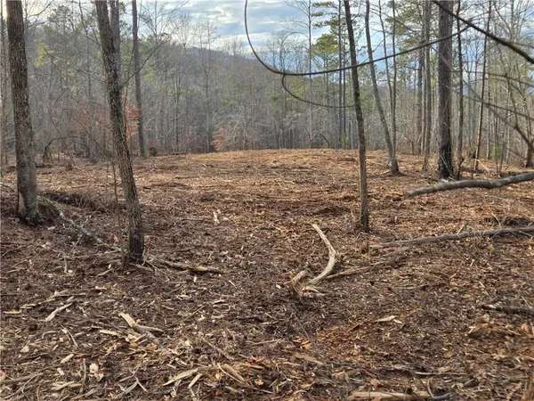 $1,362,400 | 0 Tippens Road, Canton, GA 30114