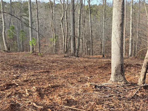 $1,362,400 | 0 Tippens Road, Canton, GA 30114