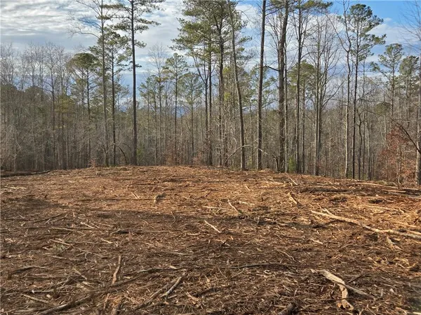 $1,362,400 | 0 Tippens Road, Canton, GA 30114