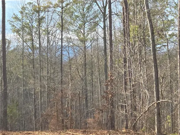 $1,362,400 | 0 Tippens Road, Canton, GA 30114