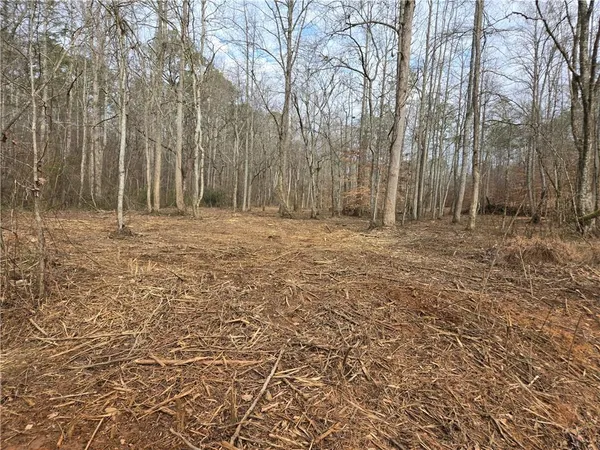 $1,362,400 | 0 Tippens Road, Canton, GA 30114