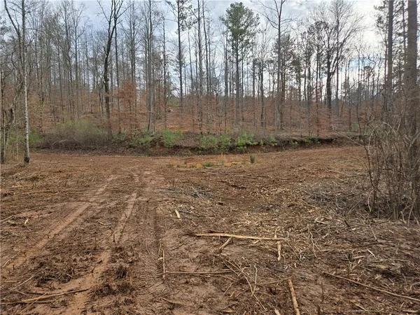 $1,362,400 | 0 Tippens Road, Canton, GA 30114