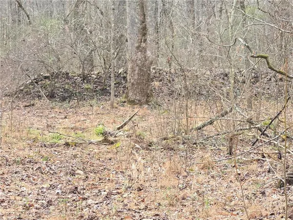 $1,362,400 | 0 Tippens Road, Canton, GA 30114