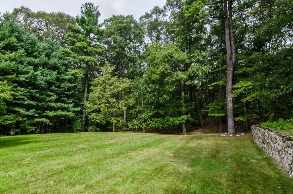 103 East Emerson Road Lexington, MA 02420 - Photo 29 of 29