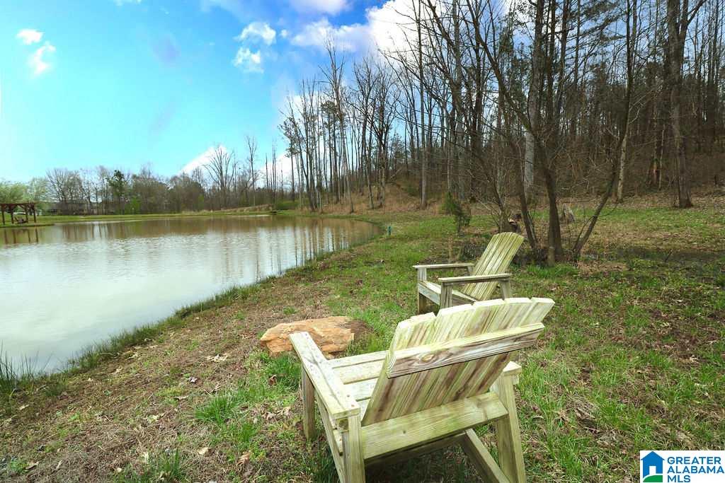 85 County Road 910 Delta, AL 36258 - Photo 18 of 49