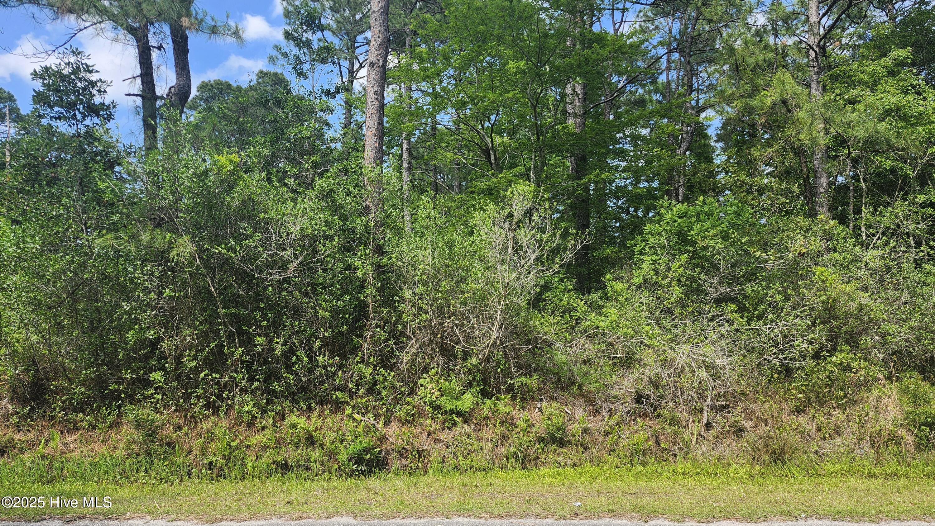Lot 143 Elm Road Southport, NC 28461 - Photo 1 of 2 20250603_155234
