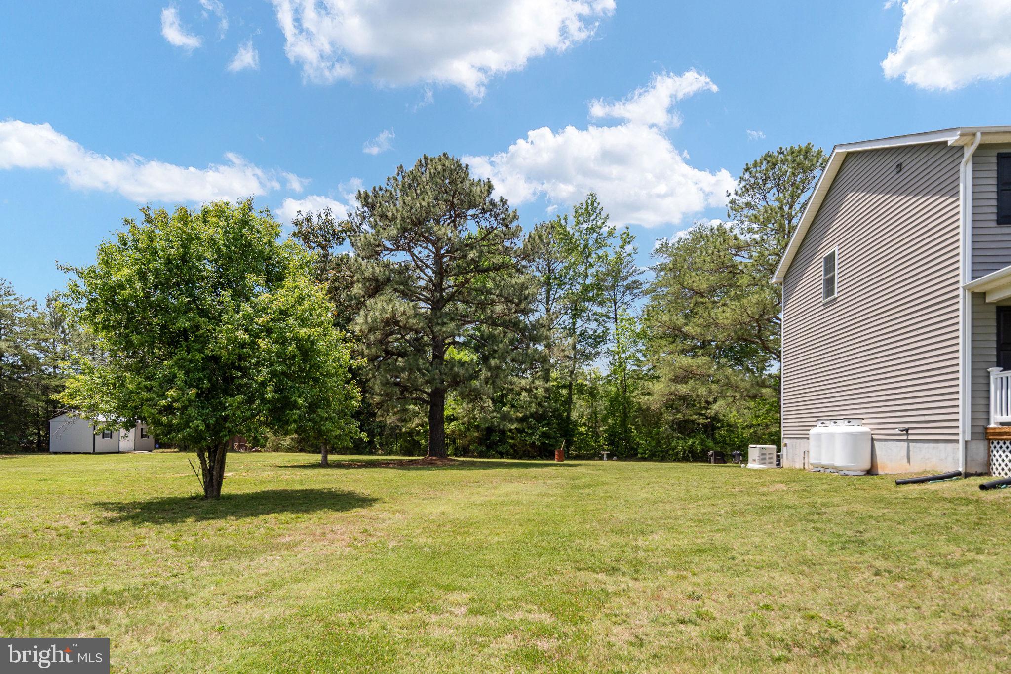 22088 Landora Bridge Road Ruther Glen, VA 22546 - Photo 117 of 122 Spacious yard with lush greenery.