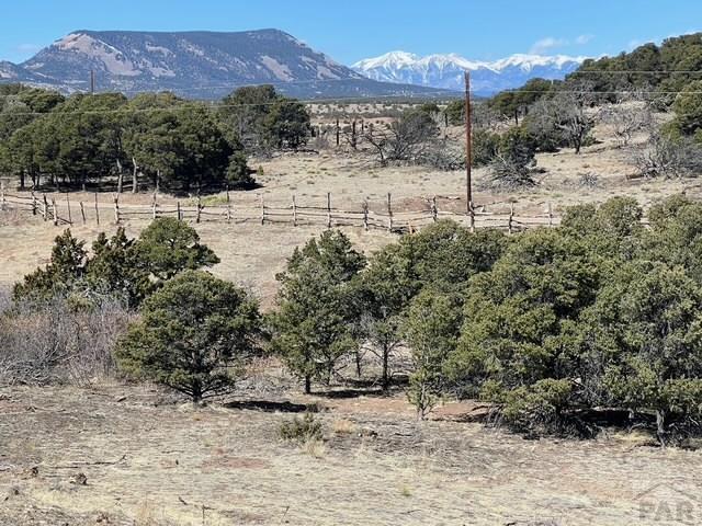 3 B Majors Ranch Road Walsenburg, CO 81089 - Photo 6 of 54