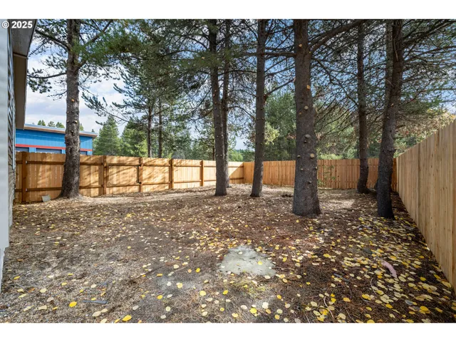 a view of a yard with a tree