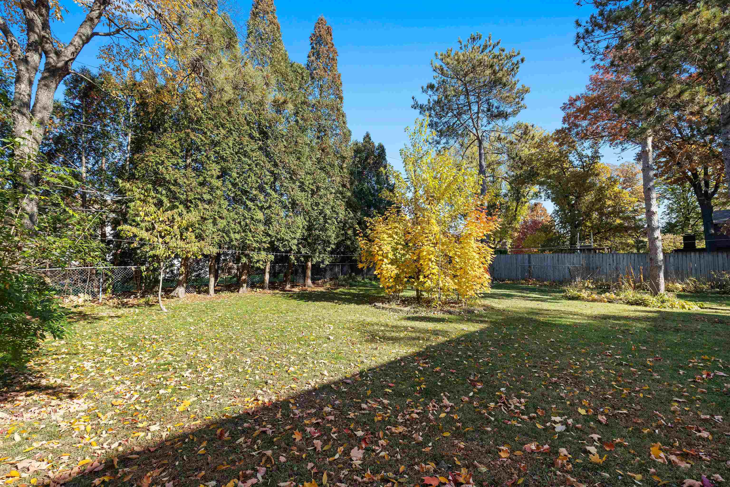 4962 Braewild Road Rockford, IL 61107 - Photo 19 of 20 a view of a yard with a trees