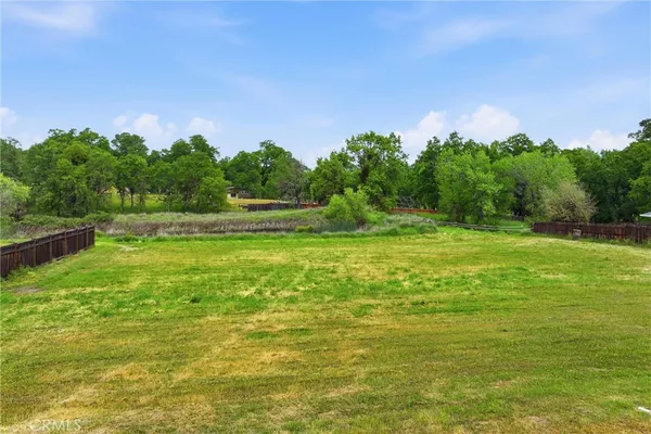 a view of a field with trees in the background