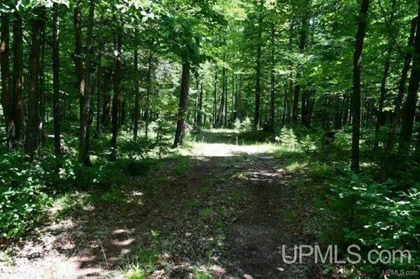 $38,000 | Lot#26 Fordville Road, Foster City, MI 49834