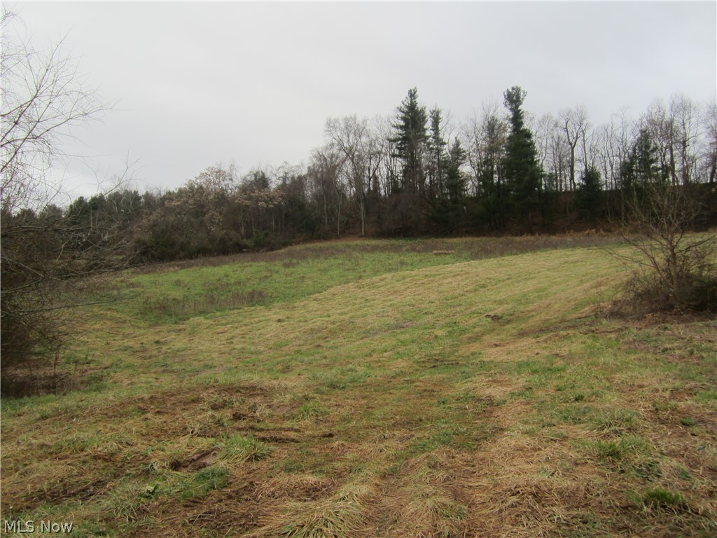 Goose Run Road Marietta, OH 45750 - Photo 2 of 15