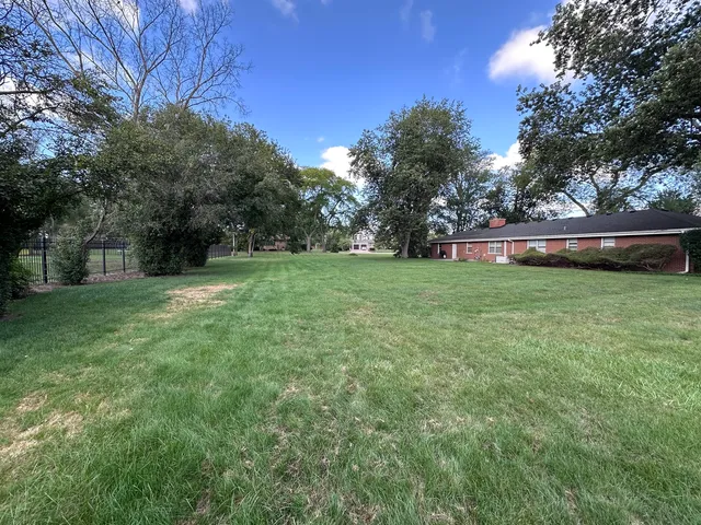 a view of a park with large trees