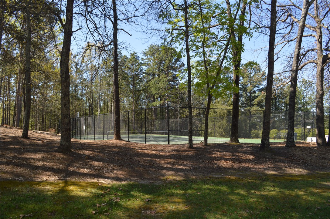 119 Beacon Ridge Circle, Unit LOT 43 Salem, SC 29676 - Photo 17 of 23 Gallery Image 17