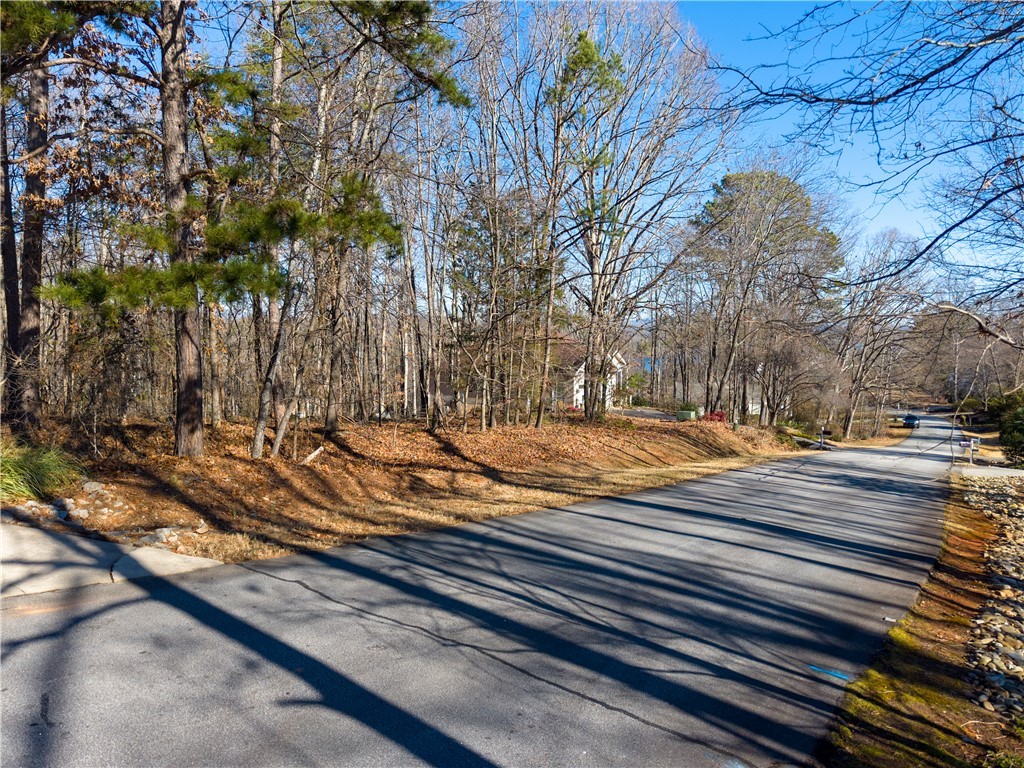 119 Beacon Ridge Circle, Unit LOT 43 Salem, SC 29676 - Photo 6 of 23 Gallery Image 6