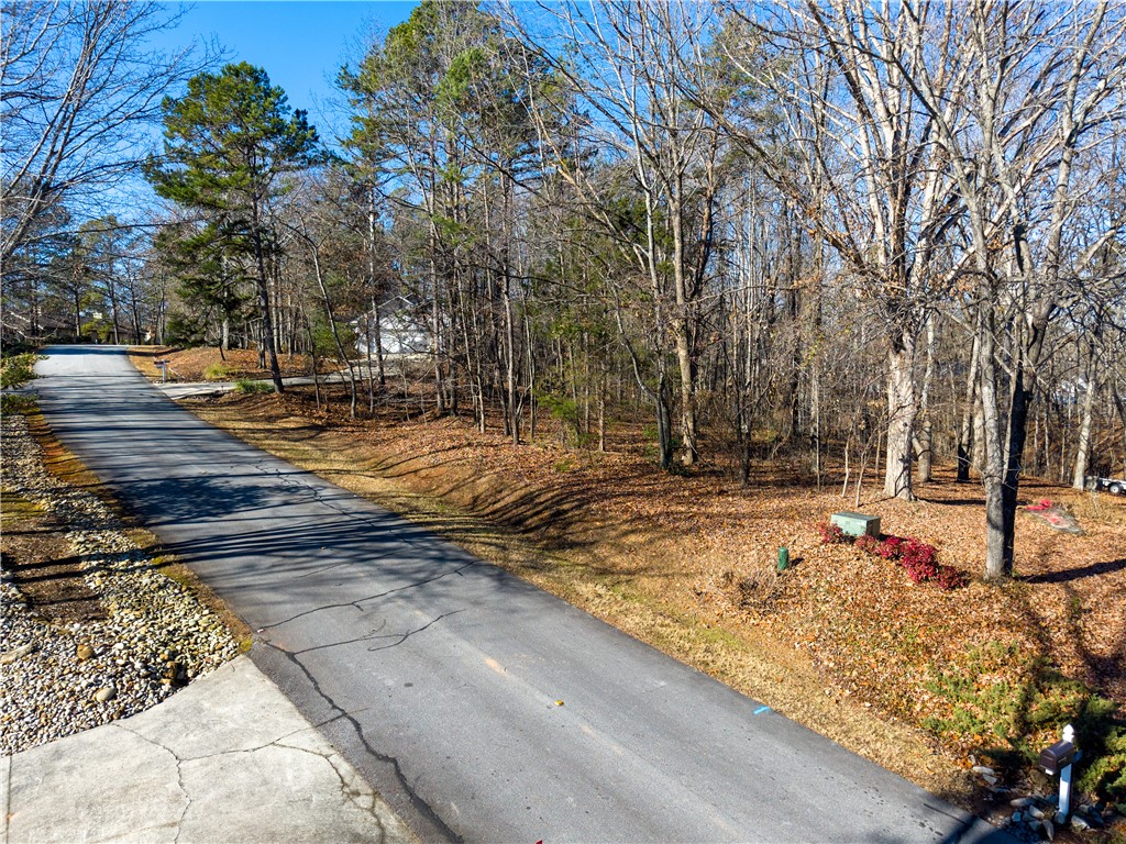 119 Beacon Ridge Circle, Unit LOT 43 Salem, SC 29676 - Photo 7 of 23 Gallery Image 7