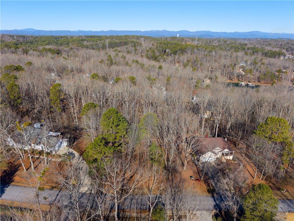 119 Beacon Ridge Circle, Unit LOT 43 Salem, SC 29676 - Photo 8 of 23 Gallery Image 8